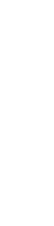 Overlay 02
